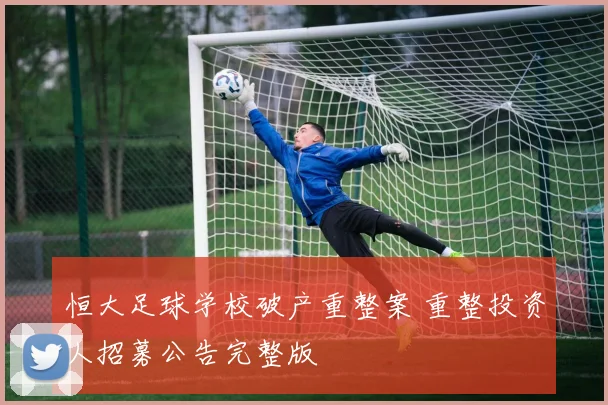 恒大足球学校破产重整案 重整投资人招募公告完整版