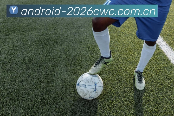 2026世界杯官方数据应用界面