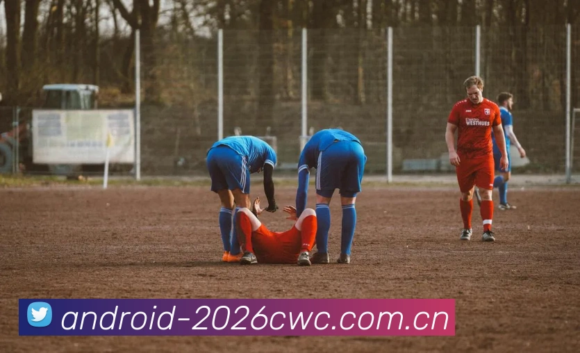FIFA 官方数据授权认证